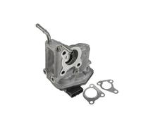 NTY Vanne EGR per Lexus IS II OE/OEM 2580026020