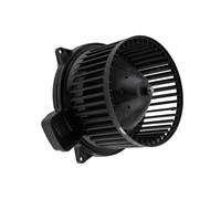 NTY Ventola Riscaldamento Motore per Mercedes-Benz Classe M W164 ML 320 CDI