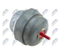 Supporto motore Dx Supporto idraulico ZPS-AU-012 NTY per AUDI A6 C6 Avant A6 C6