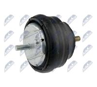 NTY Sospensione, Motore compatibile con BMW ZPS-BM-002