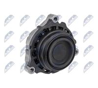 NTY ZPS-BM-029 Sospensione, Motore per BMW