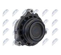 Supporto motore Dx Supporto idraulico ZPS-BM-030 NTY per BMW 1 4 Cabriolet 3
