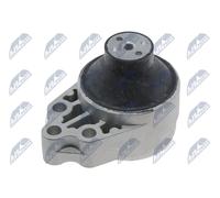 NTY Sospensione, Motore compatibile con FORD FORD USA ZPS-FR-028