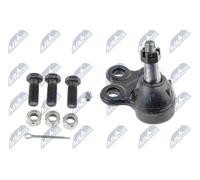 NTY Giunto di supporto / guida compatibile con GENERAL MOTORS ZSD-CH-031