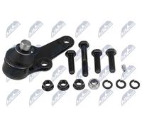 Perno braccio oscillante inferiore ZSD-FR-004 NTY per FORD FOCUS I