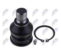 Perno braccio oscillante Assale anteriore Sx ZSD-FR-009 NTY