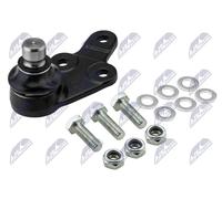 Perno braccio oscillante Assale anteriore Sx ZSD-FR-012 NTY per FORD KUGA I