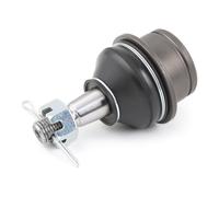 Perno braccio oscillante Assale anteriore Sx ZSD-FR-012 NTY per FORD KUGA I