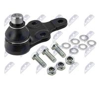 Perno braccio oscillante Assale anteriore Dx ZSD-FR-013 NTY per FORD KUGA I