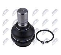 Perno braccio oscillante Assale anteriore inferiore ZSD-NS-021 NTY per NISSAN