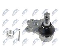 NTY ZSD-NS-022 Giunto di supporto / guida per NISSAN