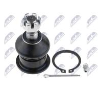 NTY Testina braccio oscillante ZSD-NS-028 per NISSAN X-TRAIL (T30) inferiore