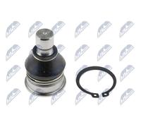 Giunto di Supporto Guida Adatto A per Nissan Tiida C11 05 Juke 10 / Frontale, Un