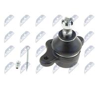 Perno braccio oscillante Superiore ZSG-MZ-004 NTY per FORD MAZDA