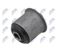 NTY Supporto, Braccio oscillante compatibile con CHRYSLER ALFAROME/FIAT/LANCI