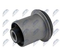 Boccola braccio oscillante Assale anteriore inferiore ZTP-MS-046A NTY