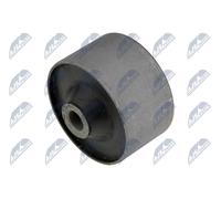 NTY Supporto, Braccio oscillante compatibile con OPEL GENERAL MOTORS ZTT-DW-092A