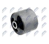 NTY Supporto Differenziale ZTT-LR-004C per LAND ROVER Freelander SUV (L314)