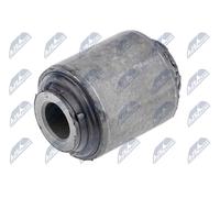 Boccola braccio oscillante Assale posteriore ZTT-NS-032A NTY per NISSAN RENAULT