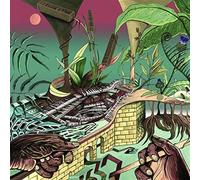 Nu Guinea - The Tony Allen Experiments (Afrobeat Makers 3)