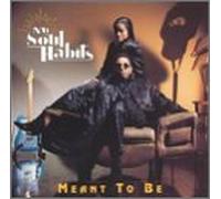 Nu Soul Habits - Meant to Be