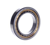 NU1014-XL-M1A-C3 FAG/Schaeffler Technologies 70 x 110 x 20 mm CYL. ROLL. SING...
