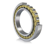NU1016-XL-M1-P6-F1-J20AA-C4 FAG 80 x 125 x 22 mm CYL. ROLL. SINGLE ROW