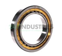 NU1022-XL-M1A-P5-C4 FAG 110 x 170 x 28 mm CYL. ROLL. SINGLE ROW Fila singola ...
