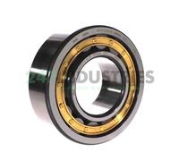 NU2220-E-XL-M1 FAG 100 x 180 x 46 mm CYL. ROLL. SINGLE ROW Fila singola di ru...