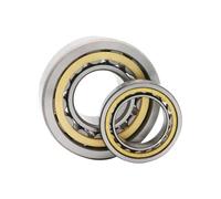 NU305 306 307 308 309 310 311 312 313 314 315 cuscinetto a basso attrito(NU314EM)