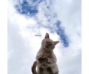 Nuback - When The Party Is Over / Heartbeat Summer