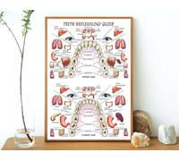 Nuboxx Poster con guida sulla riflessologia dei denti, poster per la conoscenza dei denti, assistenza sanitaria, arte, dentista, stanza, 20,3 x 30,5 cm
