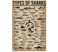 Nuboxx Tipi di squalo Animal Poster Shark Lover Regalo Oceano Poster Animale Poster Decorazione per la Casa Targa in metallo latta 15,2 x 20,3 cm