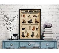 Nuboxx Types of Maine Coon - Poster in metallo con scritta "Maine Coon", 20,3 x 30,5 cm