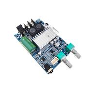 Nucelit 24V Bass Amplifier Board 100W Potenza Subwoofer Amplificatore Board Single Channel per Home Theater Power Bass