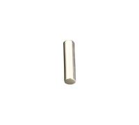 Nucelit Colonna in argento da 5 x 20 mm / 6 x 25 mm che fornisce un suono eccezionalmente Hi-Fi per gli appassionati di musica Home Theater