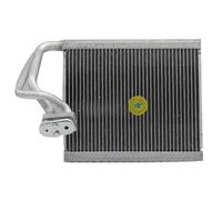 Nucleo evaporatore climatizzatore automatico, compatibile con RENAULT, Megane II Megane II(249.9x225x38mm)