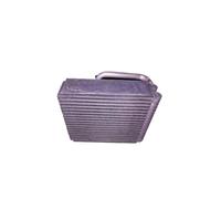 Nucleo evaporatore condizionatore d'aria S21-8107510 compatibile con Tiggo