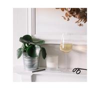Nude Glass Vertigo, calice champagne grand cru 450 cc Vertigo, calice champagne grand cru 450 cc
