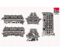 Nude Testata Per Pulsar Spolveratore Dokker Qashqai 1.2 Benzina HRA2DDT H5F408