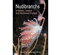 Bernard Picton Christin Nudibranchs of Britain, Ireland and Northwes (Tascabile)