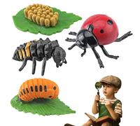Nuiorfty Kit per la Coltivazione della Coccinella Giocattoli del Ciclo di Vita per Bambini Figurine di Animali Simulati Giocattoli educativi per Ragazzi e Ragazze