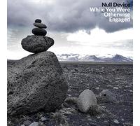 Null Device - While You Were Otherwise Engaged