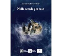 Nulla accade per caso