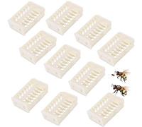 nuluxi Gabbie di Protezione Attrezzatura di Apicoltura Catcher Api Regina Gabbia di Plastica Set Gabbia per Regina in plastica Strumento di Cattura Attrezzatura Indispensabile per Gli Apicoltori