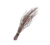NULYLU 10pezzi Rami Secchi di Betulla Naturali Marrone 40cm Bastoncini in Legno per Decorazioni Rustiche Casa e Eventi Rustici Nastro e Decoupage