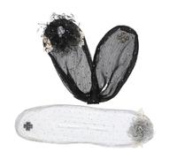 NULYLU 2 Pz Ferro Da Stiro Per Polpette Nido Di Prodotti Creatore Di Francesi Fasce Per Spaziali Orpello Mini Panino Disordinato Clip Da Donna Stoffa