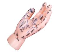 NULYLU Di Riflessologia Della Mano Per Agopuntura Supporto Didattico Punti Di Agopuntura Etichettati Materiale Pvc Robusto Per Formazione e Apprendimento