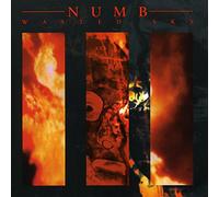Numb - Wasted Sky