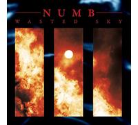 Numb - Wasted Sky